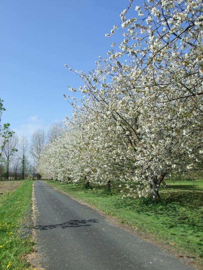 Moulin De La Fosse Soucy 